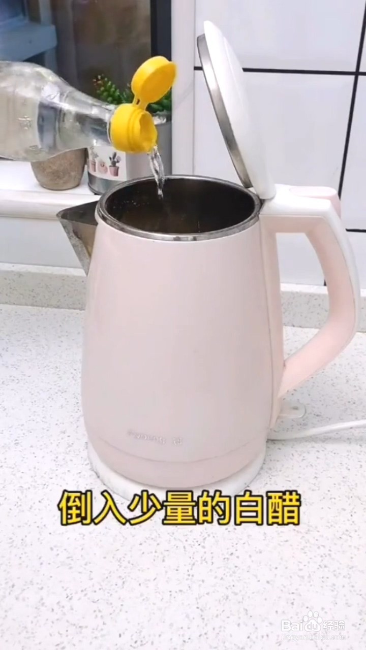 怎样快速清洗热水壶水垢？