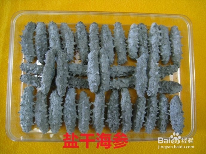 如何区分干海参的好坏