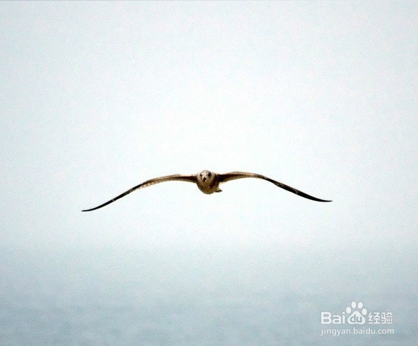 怎样提升自己的执行力?