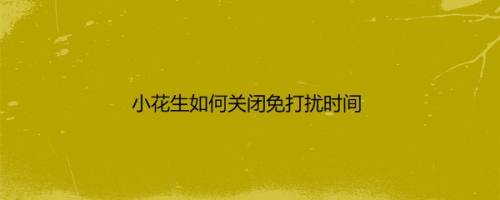 小花生如何关闭免打扰时间