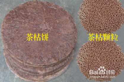 真正的野外生存知识之有毒植物的识别与利用