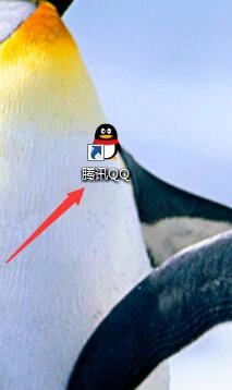 QQ怎么开启文件共享功能