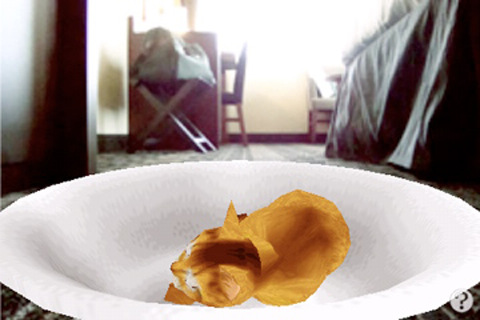 触摸式宠物猫逼真阿比西尼亚猫3D