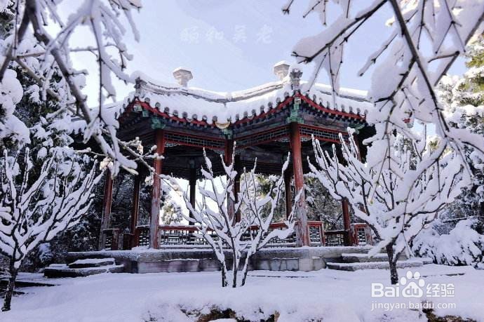 中国园林中亭子的形式和种类