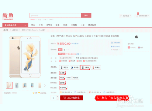 分享在鱿鱼网上购买鱿鱼服务的流程