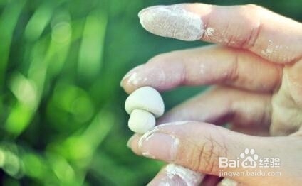 DIY迷你苔藓盆景 常绿小世界