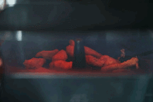 橙汁鸡胸的做法