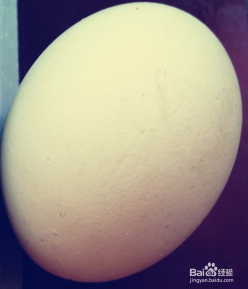 鸡蛋面简单版