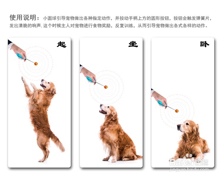 宠物指挥官：[2]如何训练狗狗追逐引导球