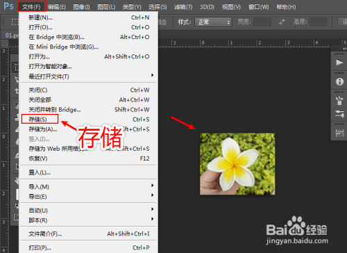 照片怎么缩小尺寸