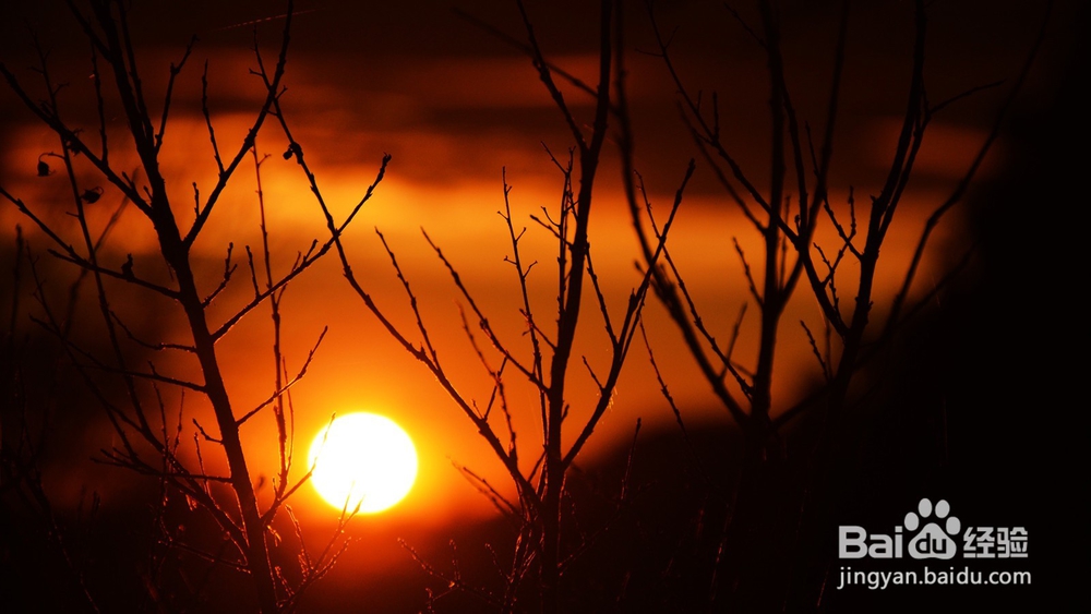 微商城后台有哪些营销核心
