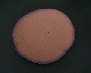 紫薯无糖松饼的做法