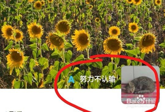 微信怎么看自己的朋友圈