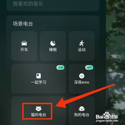 波点音乐APP的AI智能音效在哪打开