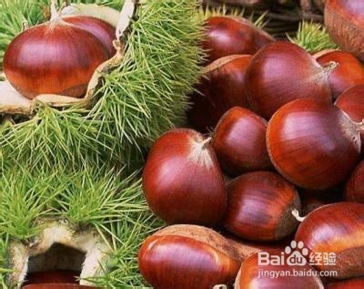 常见五种坚果的作用和食用禁忌