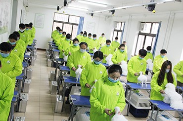哪家宠物美容培训学校比较好