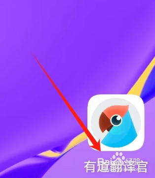 有道翻译官查看满意度调查的方法？