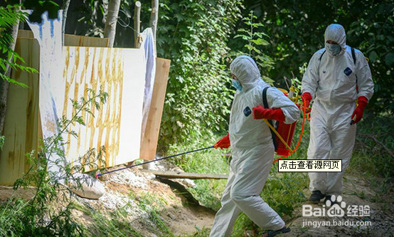 如何在地震中求生