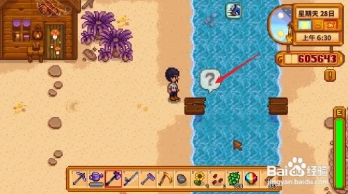 星露谷物语怎么获得海胆