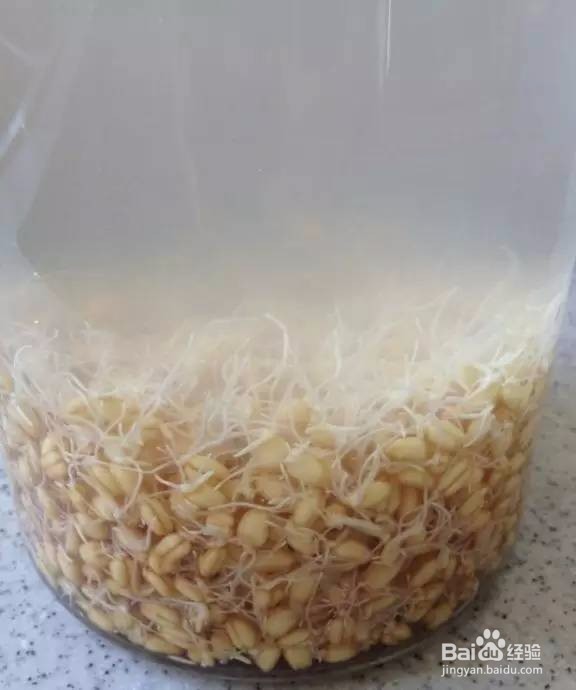减肥的好用办法