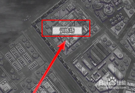 幸存者等级怎么提升