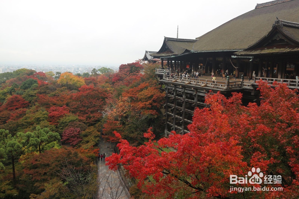 去日本必赏值得世界称赞的7大建筑推荐