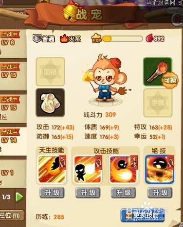 宝宝斗场升级宠物技能技巧