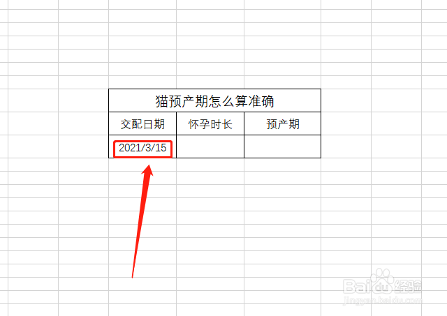 猫预产期怎么算准确