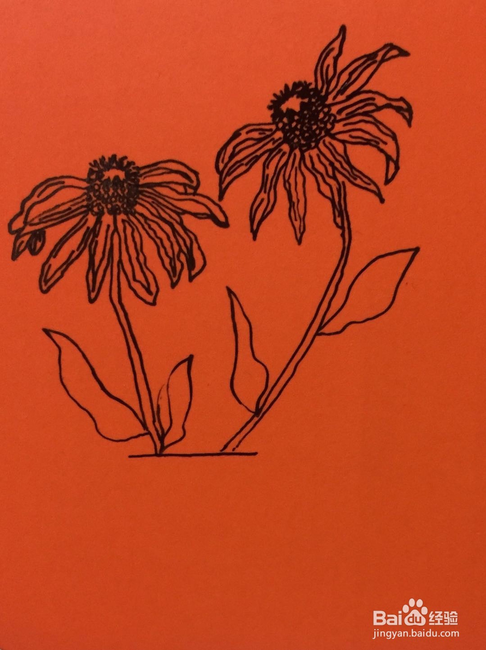 插画教程之凋谢的花