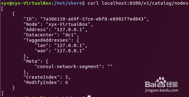 consul学习之consul运行代理_02