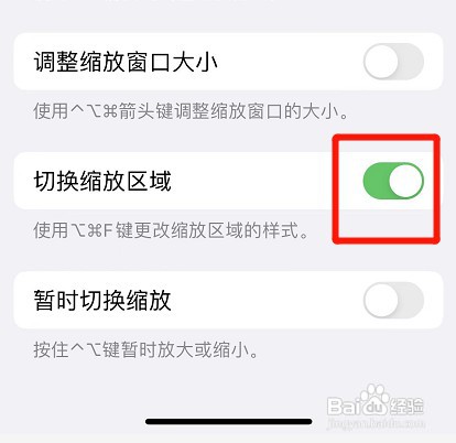 iphone切换缩放区域功能如何开启