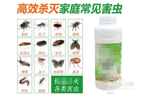 怎样驱除卫生间的小飞虫？