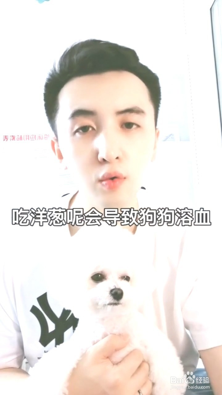 狗狗不能吃的蔬菜有哪些