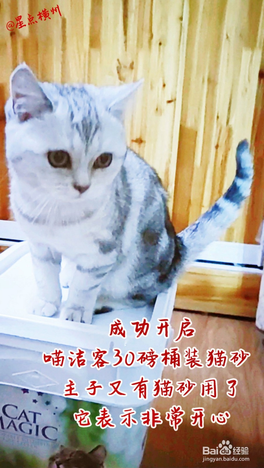 喵洁客猫砂盖子怎么打开桶装喵洁客打开方式