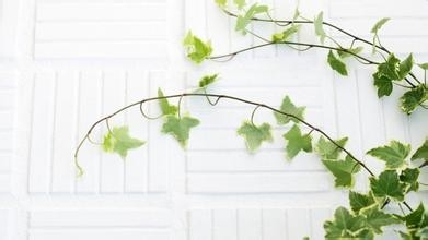 怎样创造一个好的卧室环境