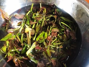 食补佳品香椿煎蛋的做法