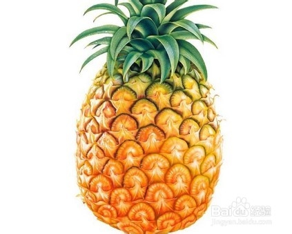 孕妇不能吃哪些食物呢？