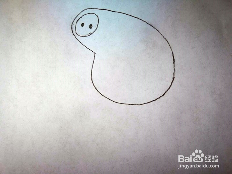 猪年画小猪——小猪佩奇的简笔画画法