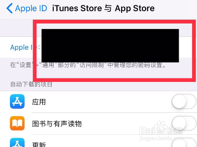 如何查询iPhone的消费记录?