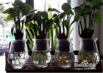 夏天没有空调怎么降温