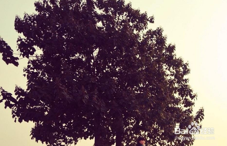 如何告别生活中的浮躁?