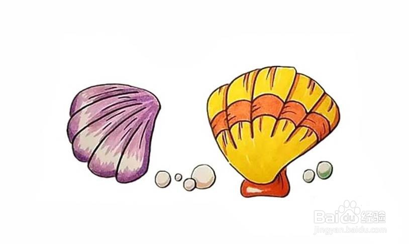 贝壳简笔画带颜色步骤图片
