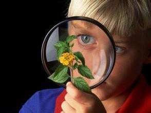 如何自学游戏程序开发（C++方向）