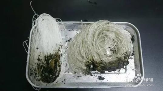 如何正确挑选红薯粉条