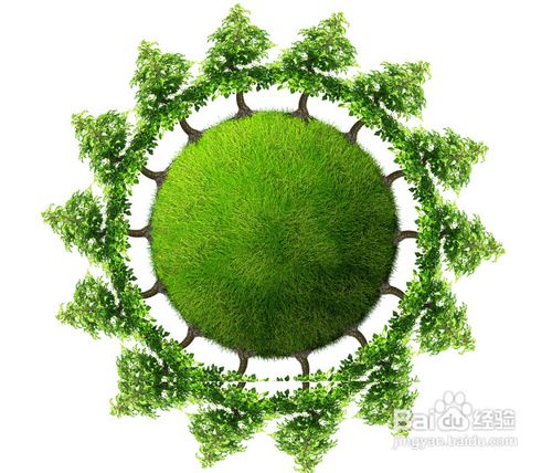怎样加强孩子的环保意识 百度经验