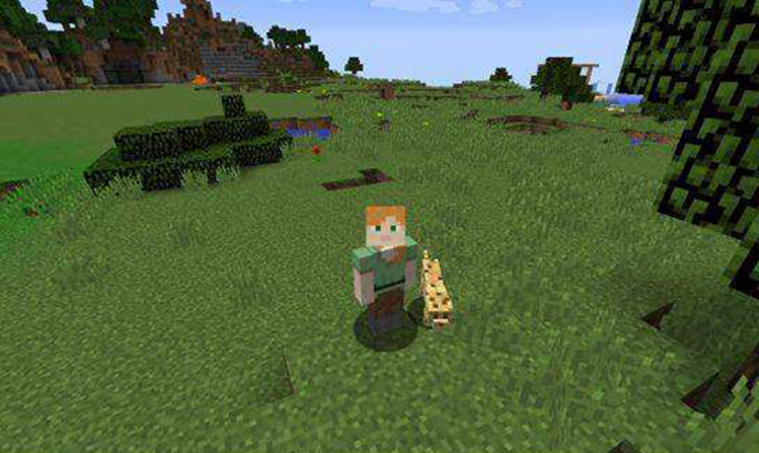 我的世界史蒂夫和爱丽克斯是姐弟关系吗