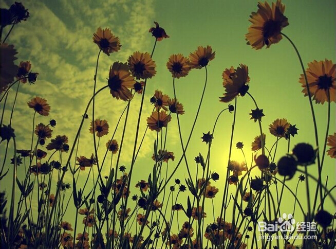 我们怎么减压最有效