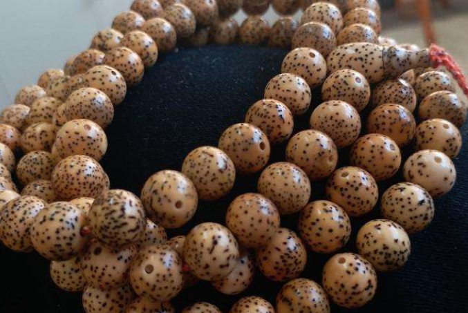 星月菩提多长时间开片