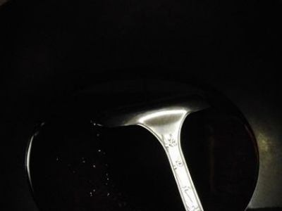 清江鱼刺多不多