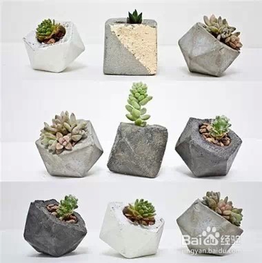变废为宝，水泥也可做花盆啦！